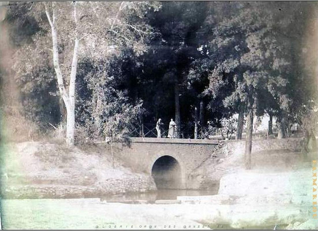 Telagh 29- Pont route de Slissen.jpg